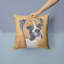 Coussin décoratif intérieur/extérieur boxer