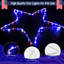 Gollub LED Lighted Window Décor