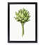 An Artichoke by Jean Bernard - Framed Print-55545079-55545069