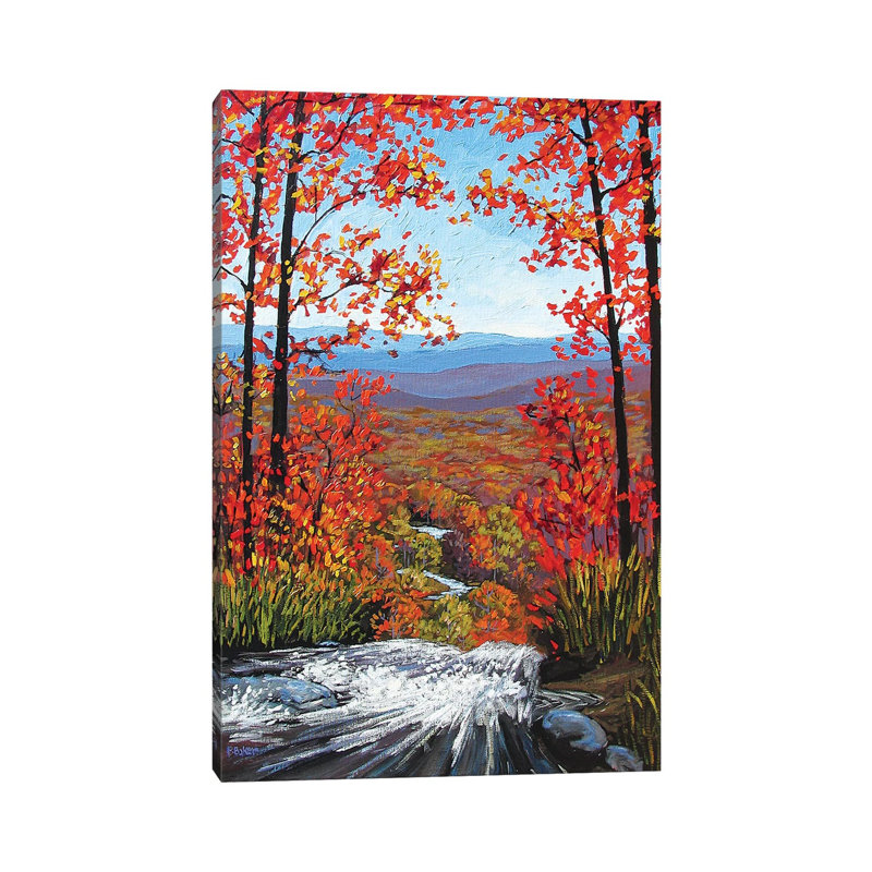 «View from the Top of Amicalola Falls» par Patty Baker - peinture sur toile tendue