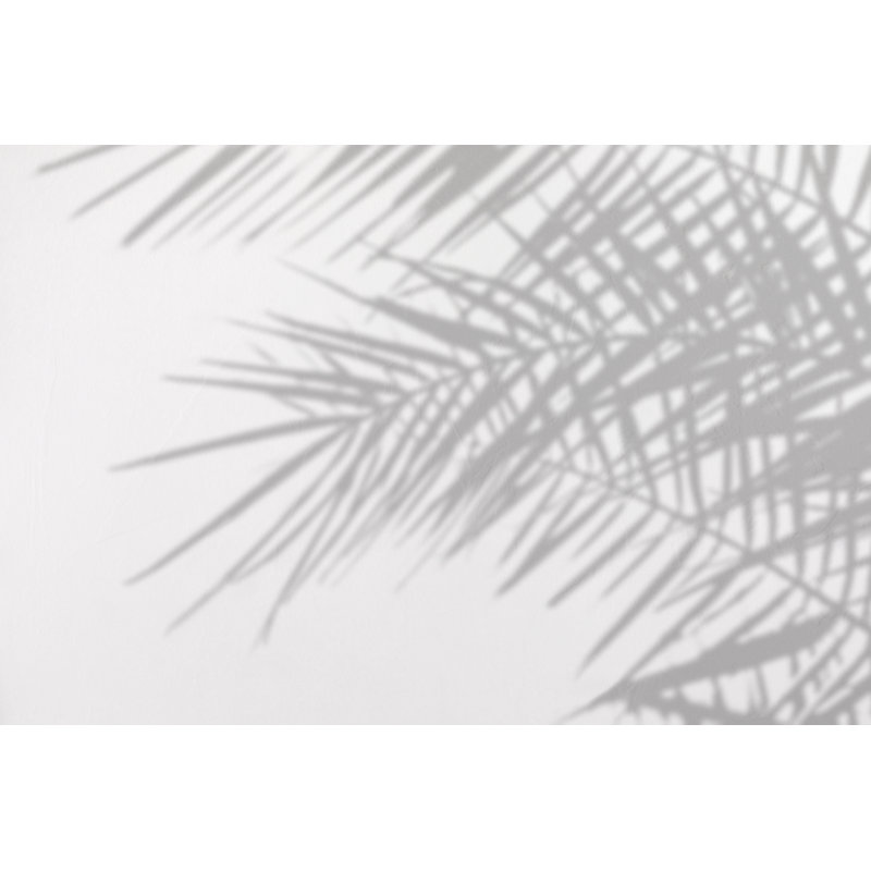Shadow Of Palm Leaves - Wrapped Canvas Print, 30cm H x 46cm W x 3.8cm D