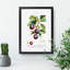 Ripe Plums by Pierre-Joseph Redoute - Framed Print-55598806-55598809