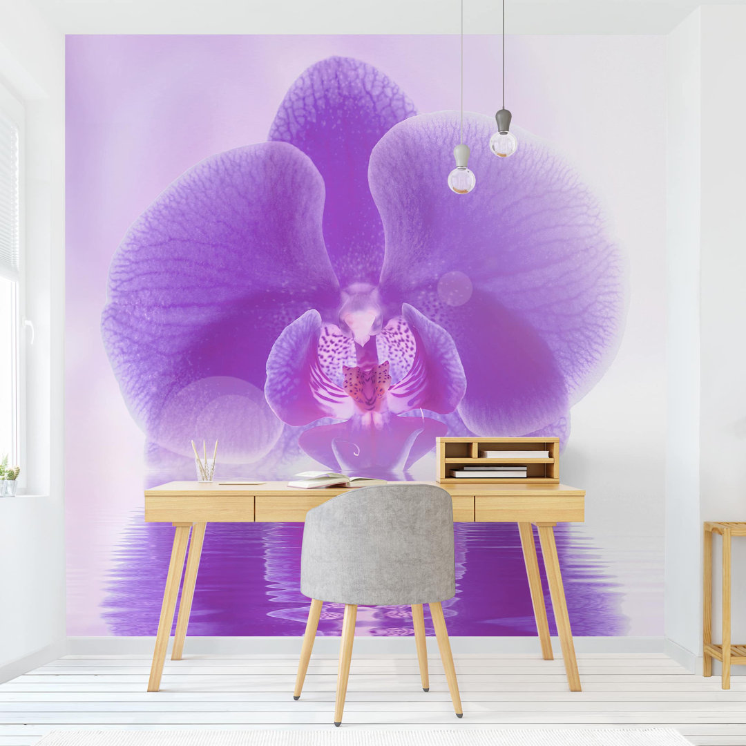 Matt Fototapete Lila Orchidee auf Wasser 1,92 m x 192 cm