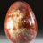 Petrified Wood Egg-124930765-124930745