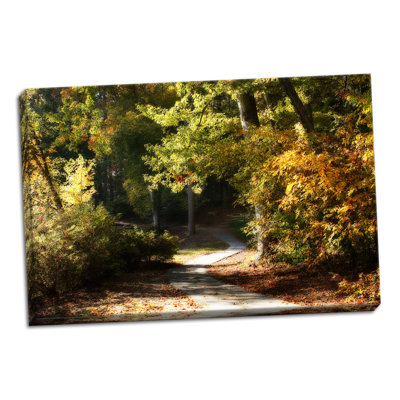 « automne chemin i », reproduction de photo sur toile tendue