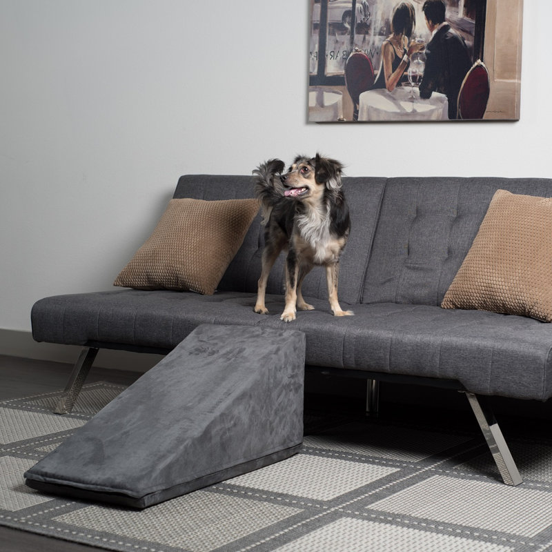 Rampe pour animaux 14 ", Gris charbon