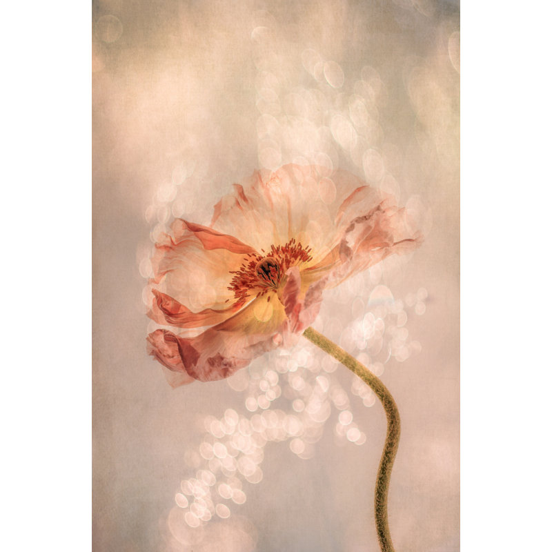 Wrapped Canvas Print, 76.2 cm H x 50.8 cm W