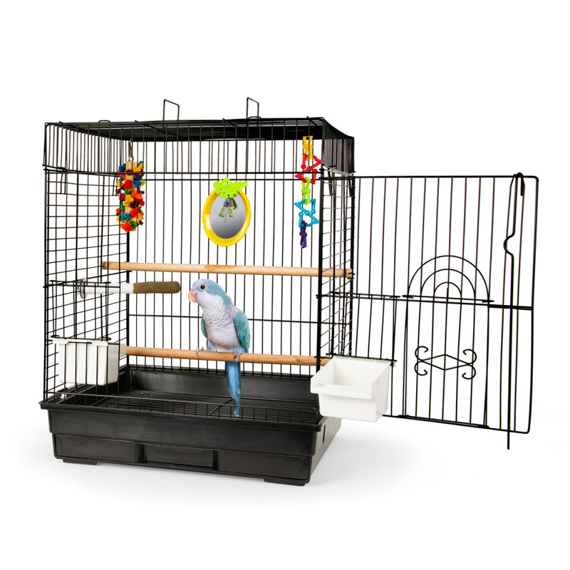 Medium Fun Bird Cage Kit