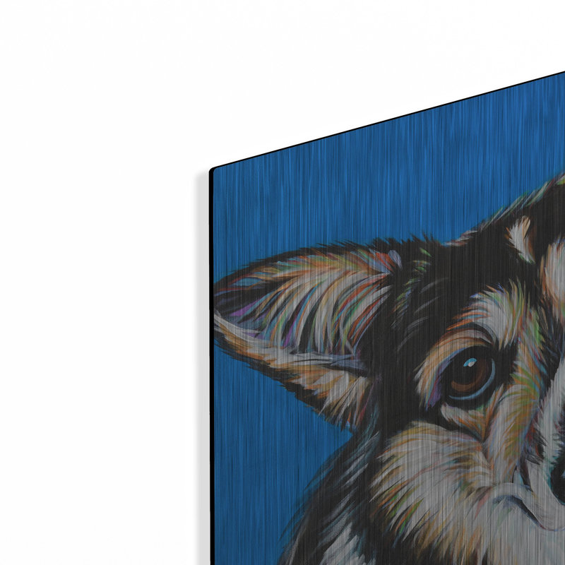 "Corgi Cutiness 2" par Carolee Vitaletti, H 12 po x l 12 po