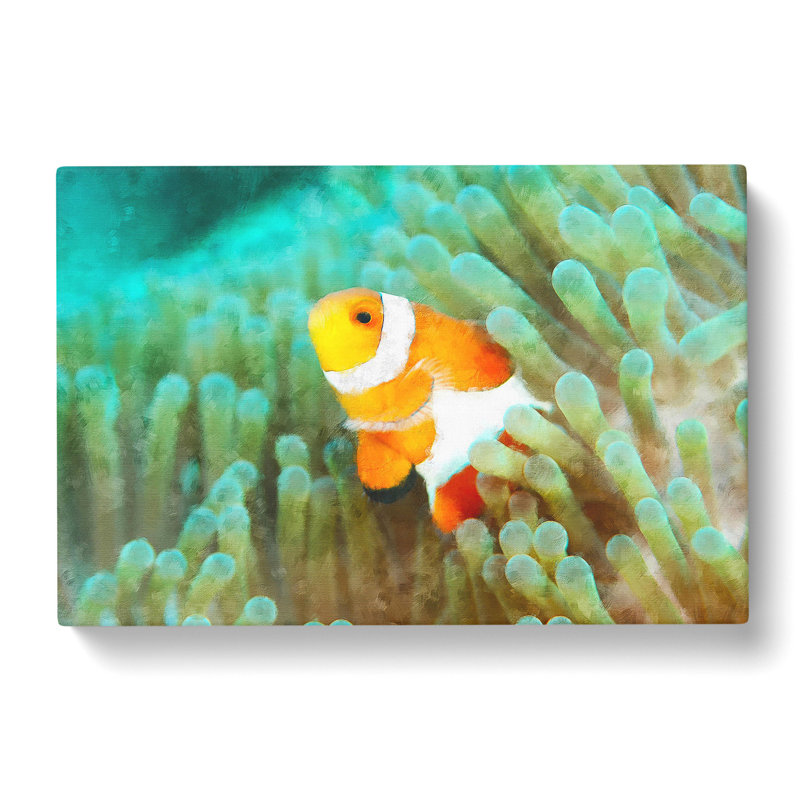 Clownfish Vol.1 - Wrapped Canvas, 50cm H x 76cm W x 3cm D
