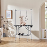 Pet Grooming Table with Loop Noose and Mesh Tray