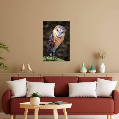 «Cute Owl» par Ben Heine - impression non encadrée