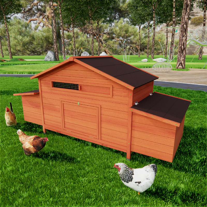 Large Wooden Chicken Coop With Nesting Boxes And Secure Predator Defence