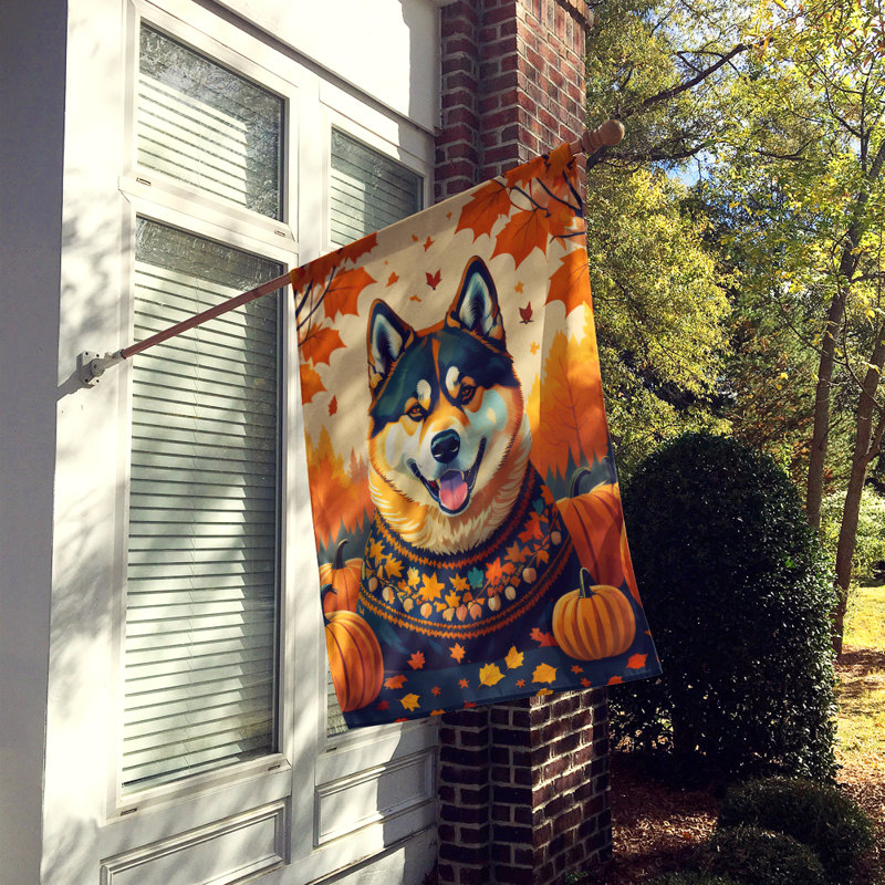 Drapeau de maison en polyester à double face H 40 po x l 28 po