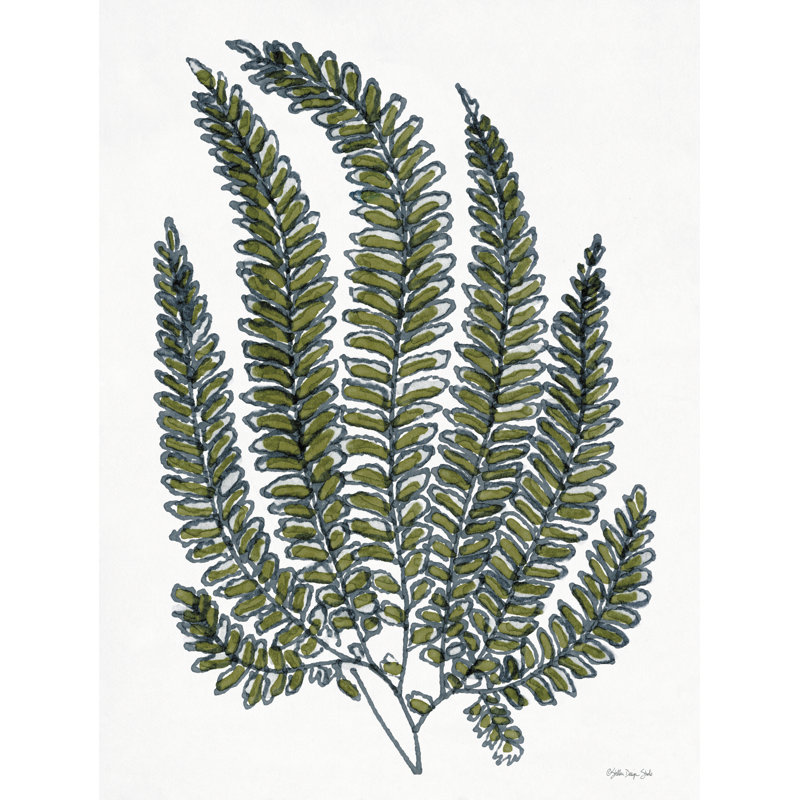 «Sketchy Leaves 1 on Canvas» par Stellar Design Studio, reproduction, H 30 po x l 20 po x P 1,25 po