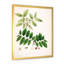 "Vintage Botanicals" - Peinture sur toile-59814990-59814995