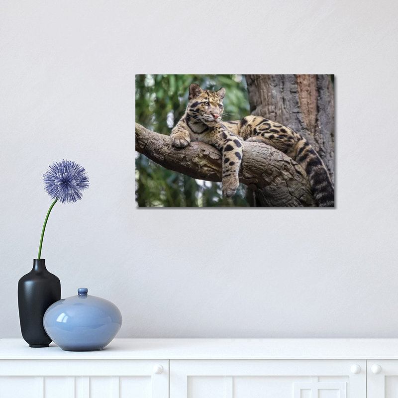 Leopard Stare 1 Piece Wrapped Canvas Wall Art, 30.48 cm H x 45.72 cm W