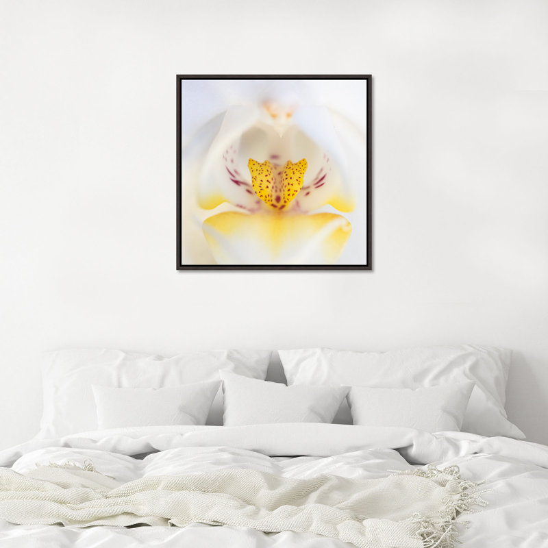 Orchidaceae Series Naples Yellow XII Print by Addison Jones, 25.75" H x 25.75" W, Image Brush Gel
