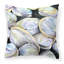  Coussin 14 "Clam Quahog