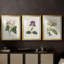 Antique Botanical Collection-522022664-522022668