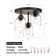 3-Light Dimmable Flush Mount Lighting