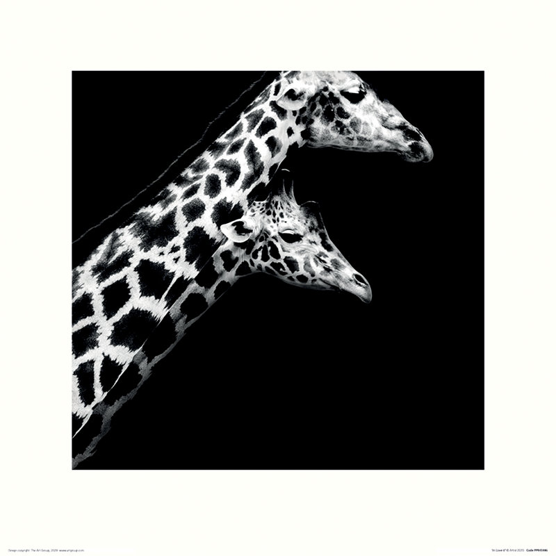 In Love II by Nicolas Evariste - No Frame Print, 40cm H x 40cm W x 0.1cm D