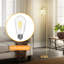 Arched Floor Lamp With Glass Shade, Remote Control And Bulb Included-1580996816