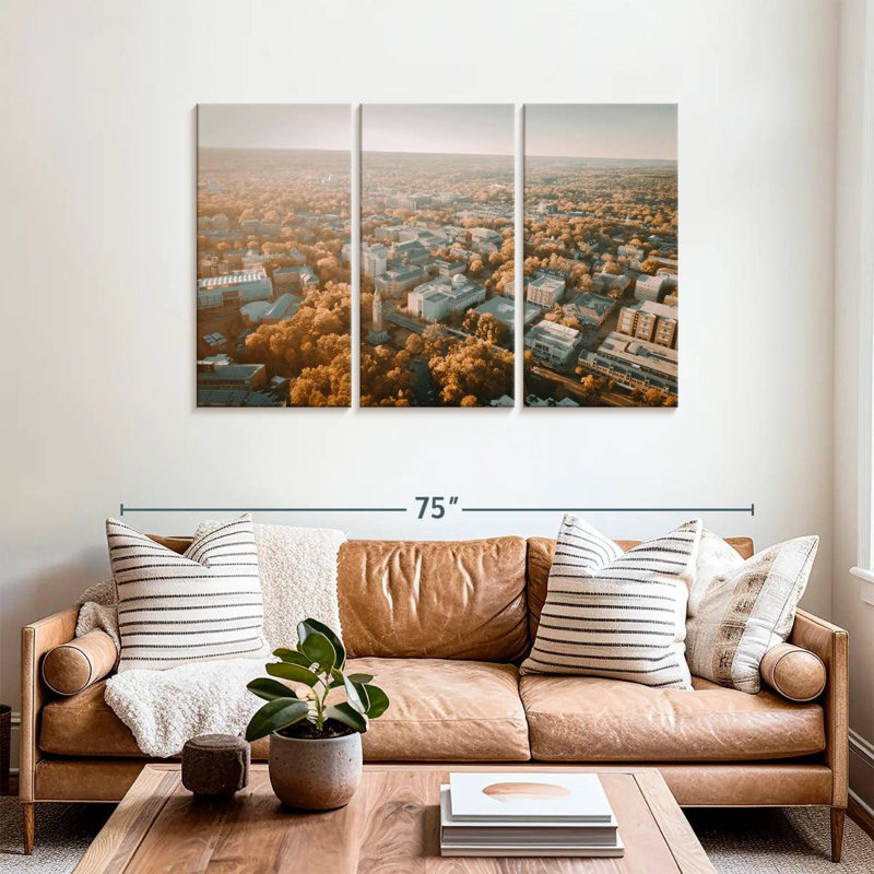 Senne UNC Campus Aerial View, 36" H x 57" W