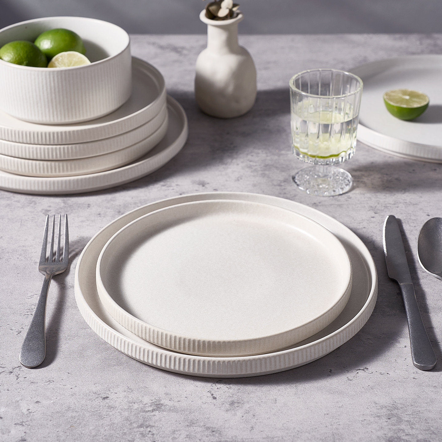 Joss & Main 10" Stoneware Dinner Plate, Matte White