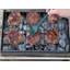 King Kooker Stainless Steel Portable Charcoal Grill