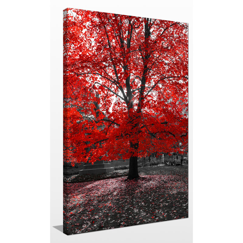 « red tree », reproduction de photo sur toile tendue, H 60 po x l 36 po x P 1,5 po