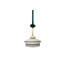 Calypso Martinique 1-Light Hanging Lantern-139628896