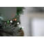 1.27cm LED Indoor / Outdoor String Lights