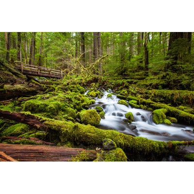 " Beautiful Cascade Waterfall " by Kanonsky