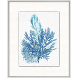 Azure Ocean Herbarium 4' Framed Graphic Art Print on Glass