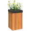 Ajwaa Planter Box-644504590