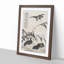 Four Geese by Bian Shoumin - Picture Frame Painting Print-55577761-55577758