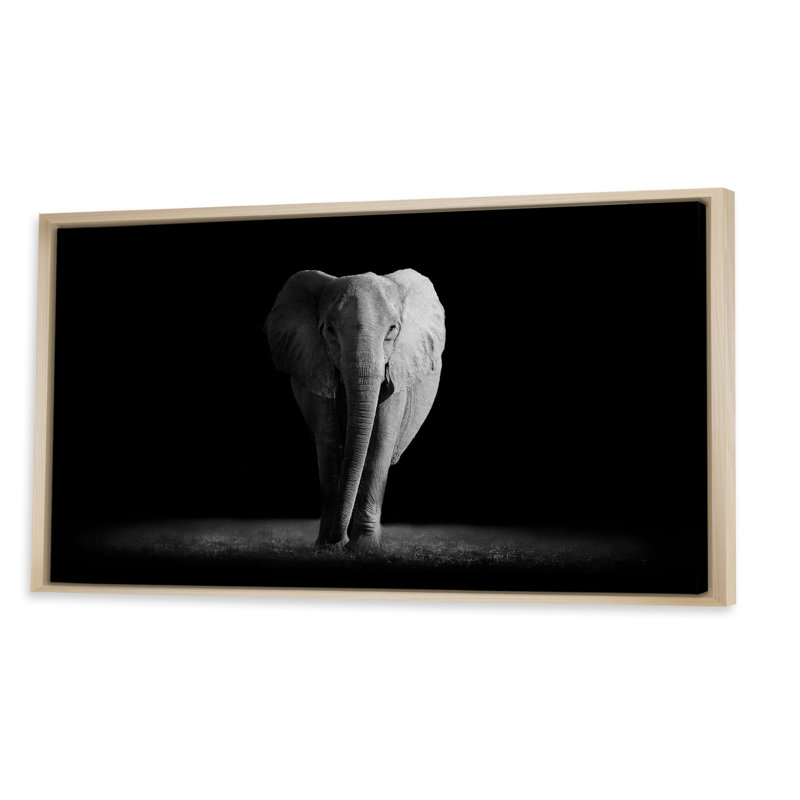 Éléphants en noir et blanc II, Cadre brun, H 12 po x l 20 po x P 1 po
