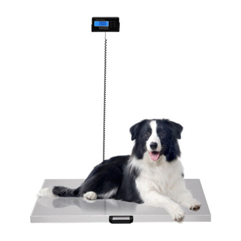 40.7'' W Digital Pet Scale