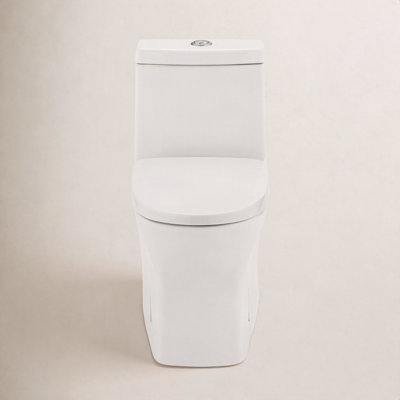 Sublime II One-Piece Round Toilet Dual-Flush 1.1/1.6 gpf