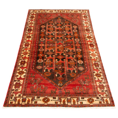 Croci Wool Oriental Indoor Rug