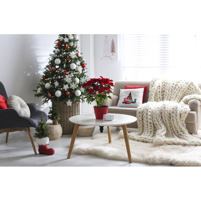 Reversible Throw Pillow, Square, 26" x 26"