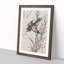 Flying Bird by Kono Bairei - Framed Print-55576211-55576213