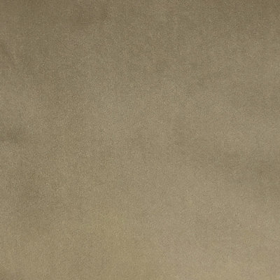 Solid Velvet | Varro Fabric