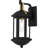 Ingetrud 1-Light Matte Black Outdoor Wall Lantern