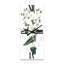 Horloge murale-1859641130