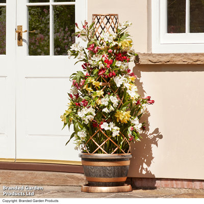 Pot Planter