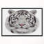 « white bengal tiger », peinture à l’animal-35120454-26663328
