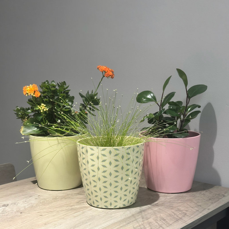Pot d'intérieur / extérieur 7 po