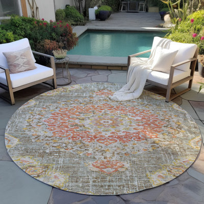 Machine Washable Indoor/Outdoor Claudian ACN1236 Brown Rug